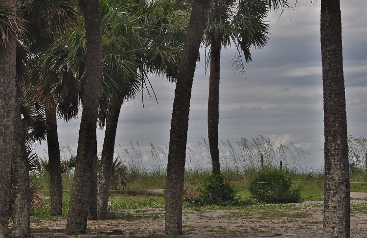 the beach